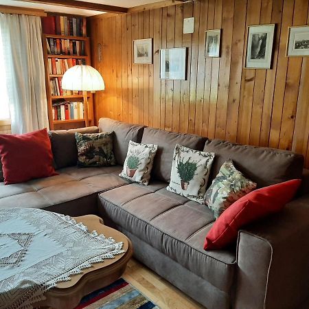 Chalet Am Fels Innertkirchen Bagian luar foto